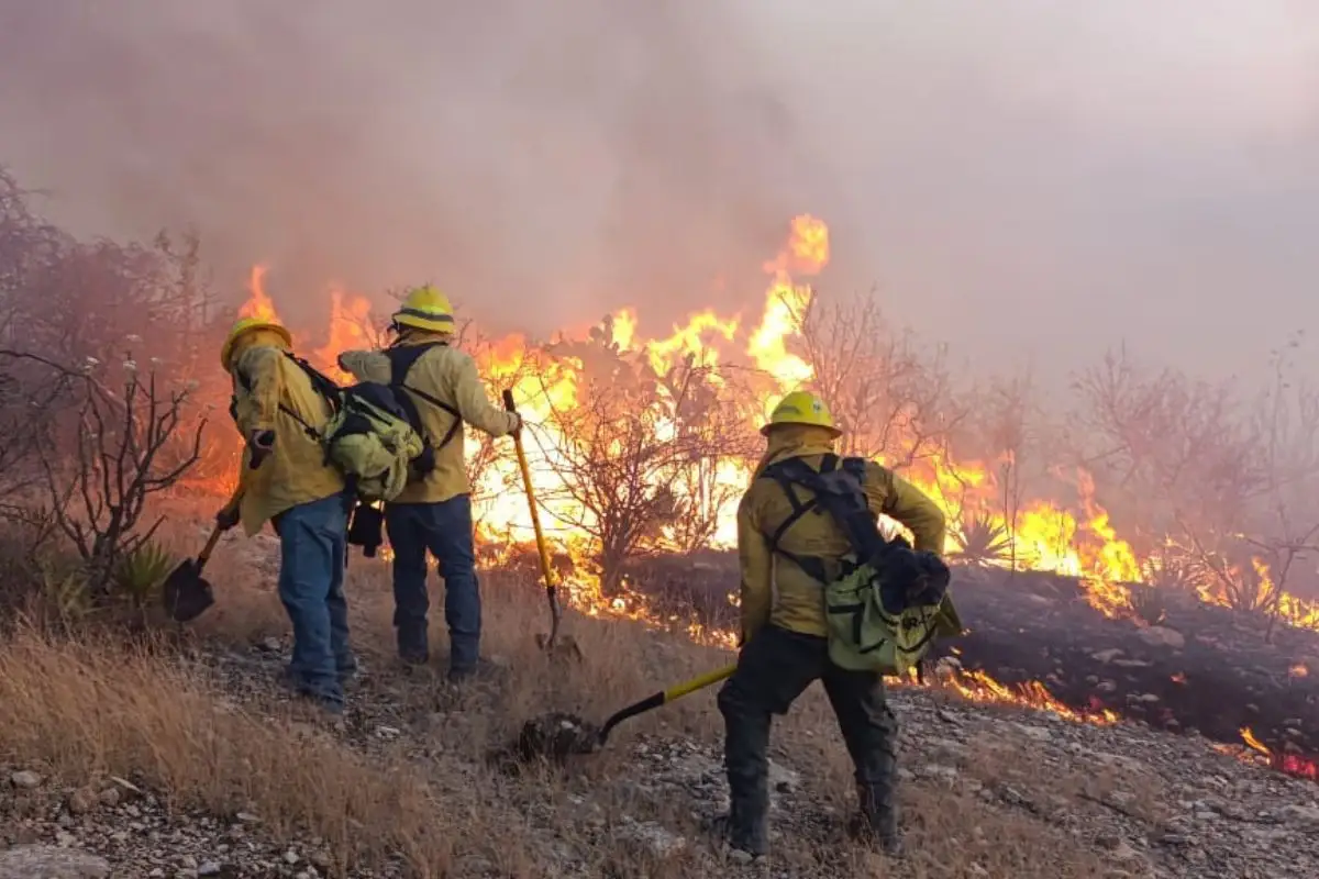Incendio forestal en Tehuacán se encuentra liquidado en un 80% 1 Incendio forestal en Tehuacán se encuentra liquidado en un 80%