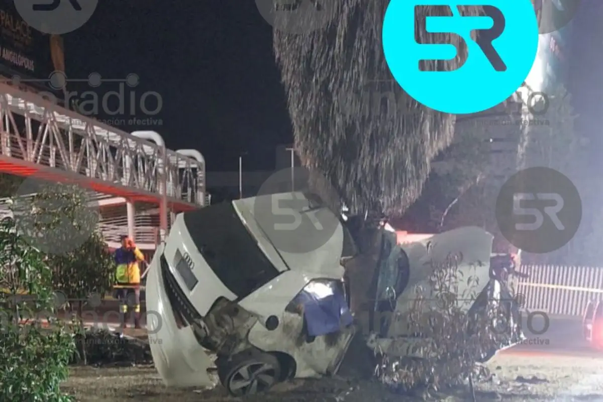 Choca contra palmera en la Atlixcáyotl y muere prensada 1 Choca contra palmera en la vía Atlixcáyotl y muere prensada