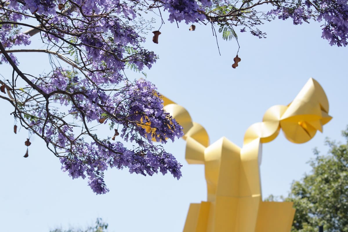 Puebla, nominada a Mejor Ciudad para Celebrar una Boda Destino 1 Boda destino ciudad de puebla