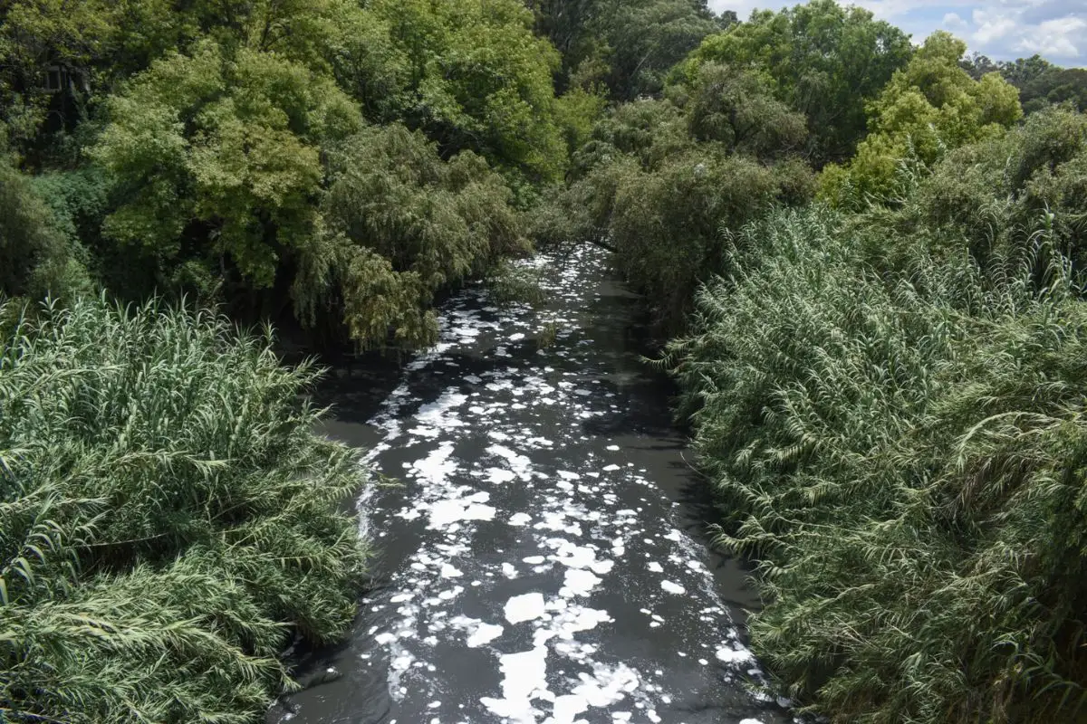 Claudia Sheinbaum inicia rescate del Atoyac: plantas tratadoras y multas 2 Claudia Sheinbaum inicia rescate del Atoyac