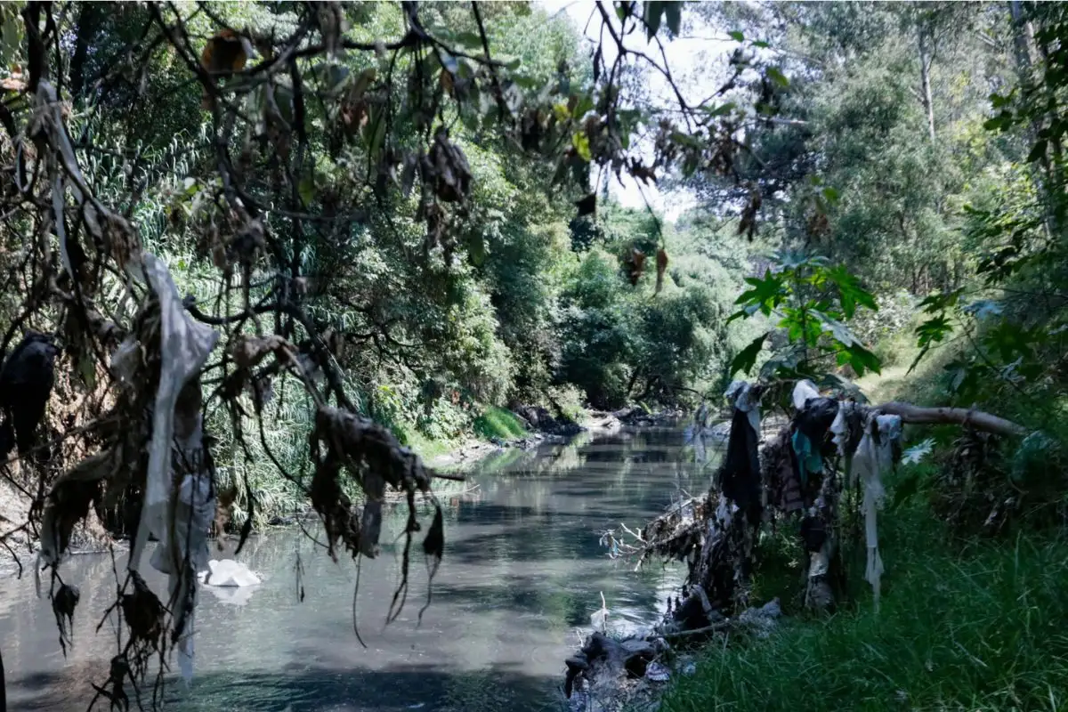 Claudia Sheinbaum inicia rescate del Atoyac: plantas tratadoras y multas 3 Claudia Sheinbaum inicia rescate del Atoyac