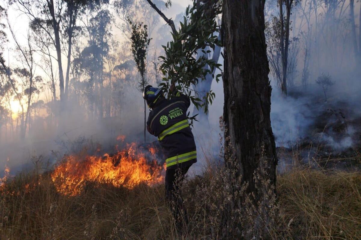 Advierte Gobierno del Estado penas severas contra responsables de incendios en Puebla 4 Advierte Gobierno del Estado que habrá penas severas contra responsables de incendios en Puebla