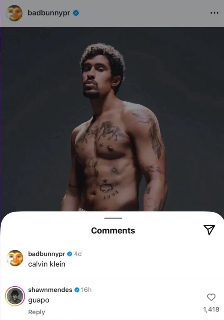 Así Shawn Mendes reaccionó a foto de Bad Bunny