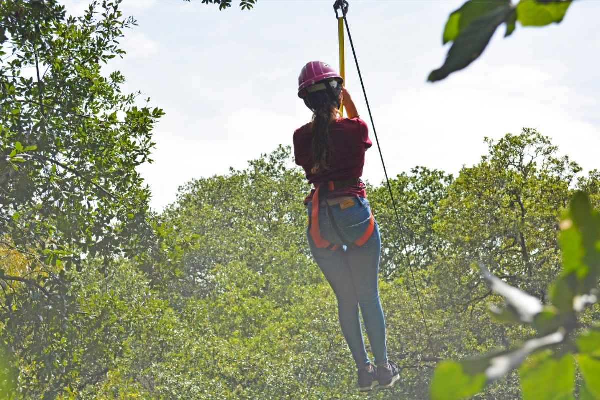 actividades de Flor del Bosque