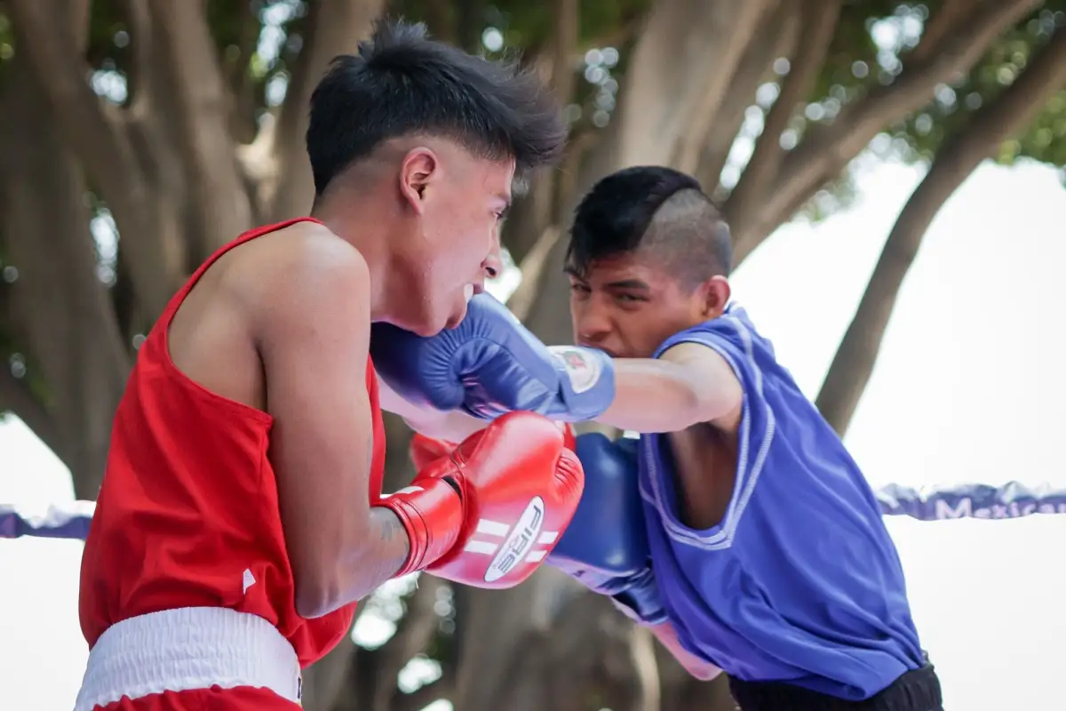 Torneo de Barrios Box 2025