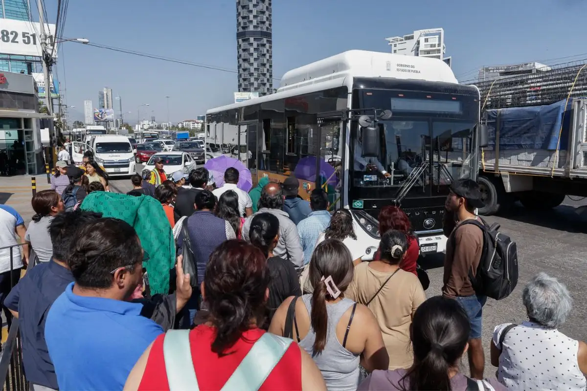 Son 50 unidades de transporte temporal las que dan servicio en el Periférico: Movilidad 1 Son 50 unidades de transporte temporal en Periférico Ecológico
