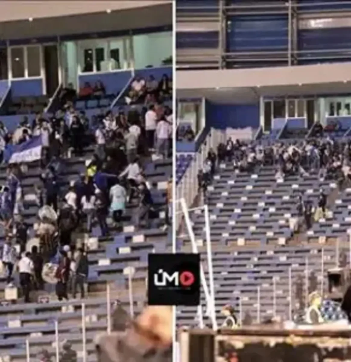 Que asquerosidad es todo esto