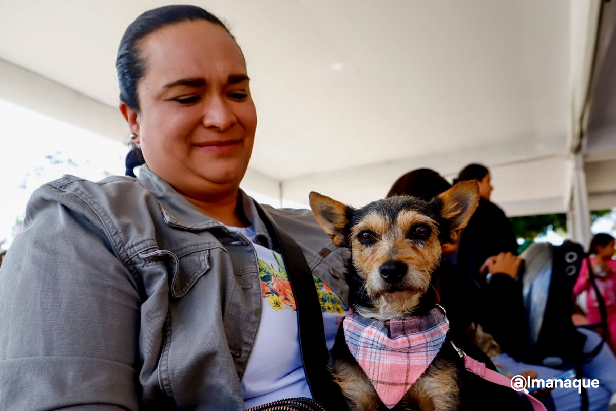 200 mascotas beneficiadas en exitosa Mega Jornada de Esterilizacion en San Pedro Cholula 5