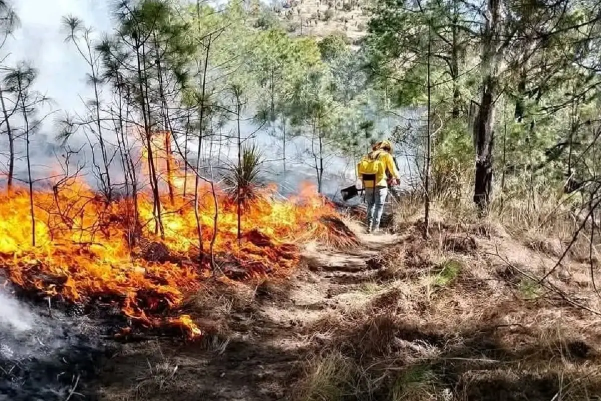 Carlos Rivera transforma la casa de su abuela en refugio ante incendio forestal en Tlaxcala