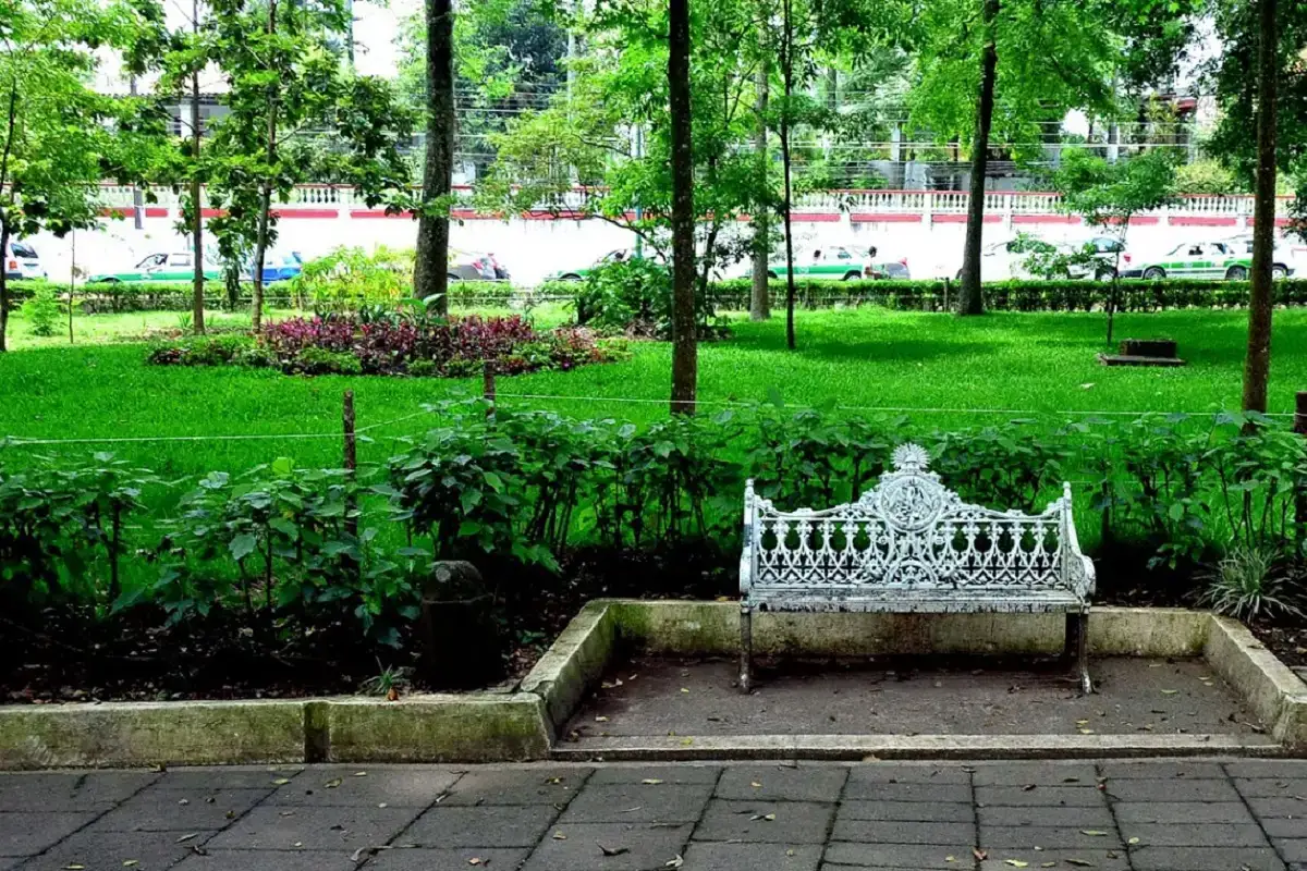 Muere hombre en situación de calle en un parque de Puebla tras una pérdida amorosa