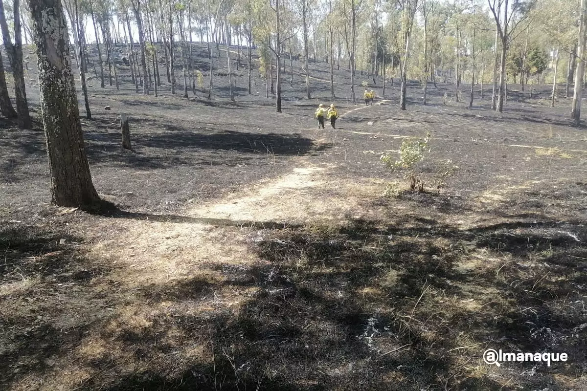 Policía y Bomberos de Cholula sofocan más de 20 incendios en el cerro zapotecas 3 Policia y Bomberos de Cholula sofocan mas de 20 incendios en el cerro zapotecas 1