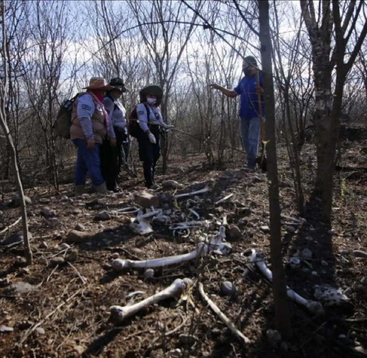 Se registran seis homicidios y hallan fosa clandestina en Sinaloa con 12 cuerpos 