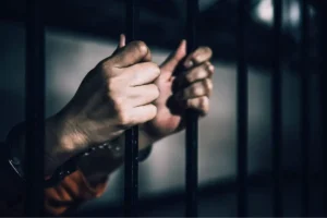 artistas que promuevan narcos