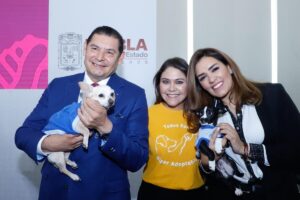 Bienestar Animal Puebla y municipios trabajan para proteger a seres sintientes