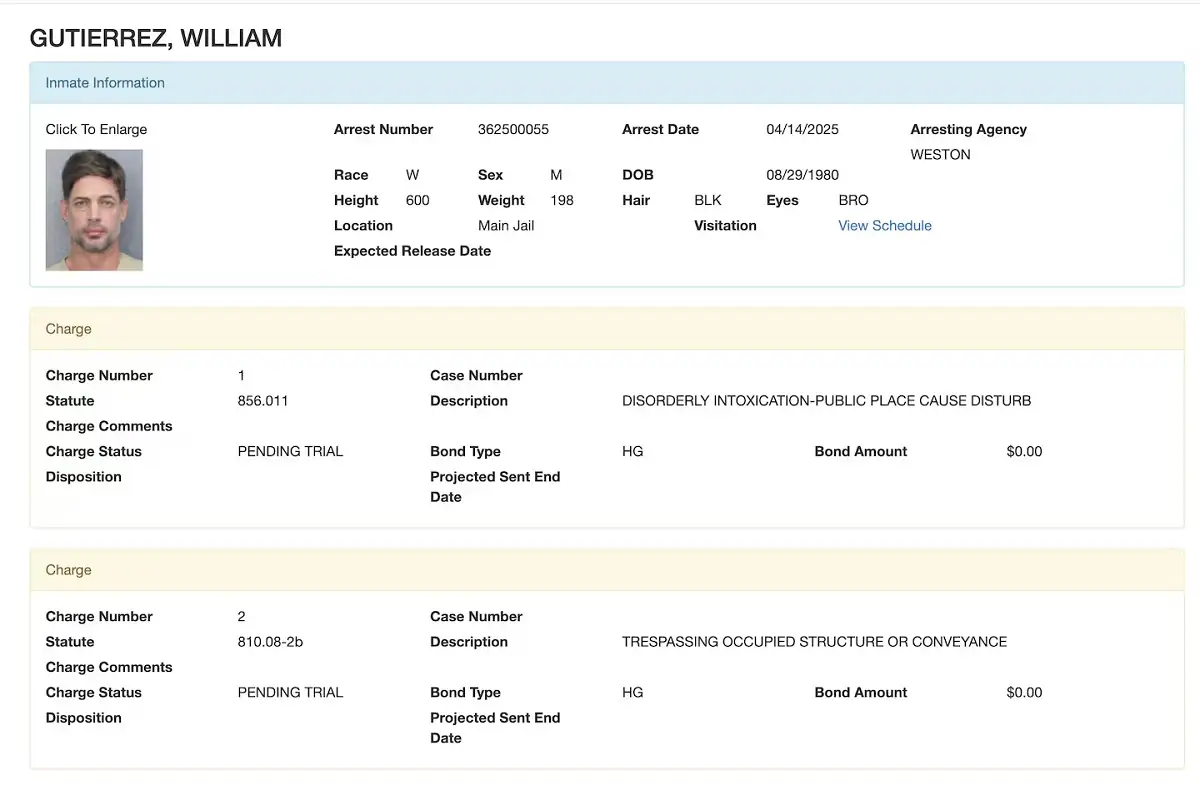 ¿Por qué detuvieron al actor William Levy en EU? 2 ¿Por qué fue la detención de William Levy?