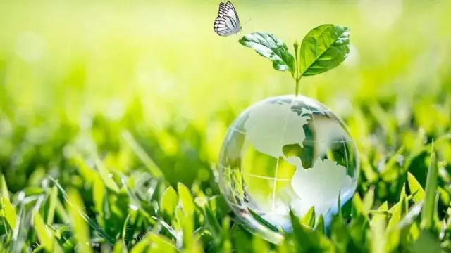 ¿Por qué se conmemora el Día de la Tierra el 22 de abril?