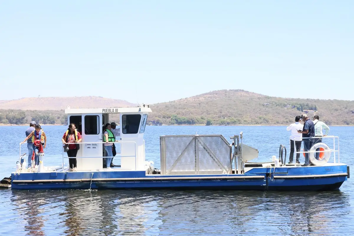 Fertipue: proyecto innovador que transformará el lirio del Lago de Valsequillo