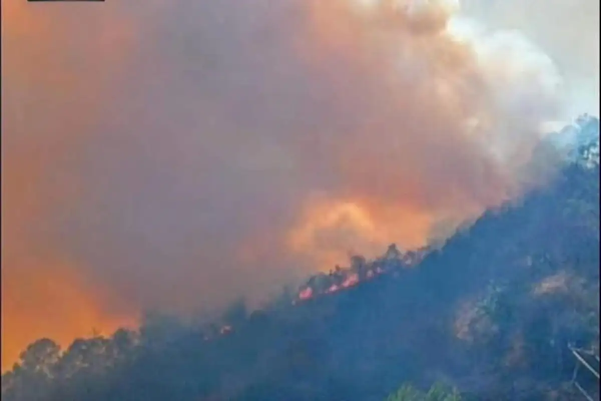 Incendio en Oaxaca: padre y dos hijos pierden la vida entre las llamas en Santa María Peñoles