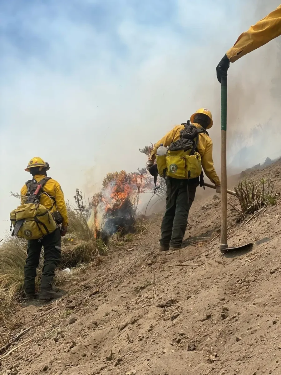 Gobierno continúa atendiendo incendio forestal en Libres