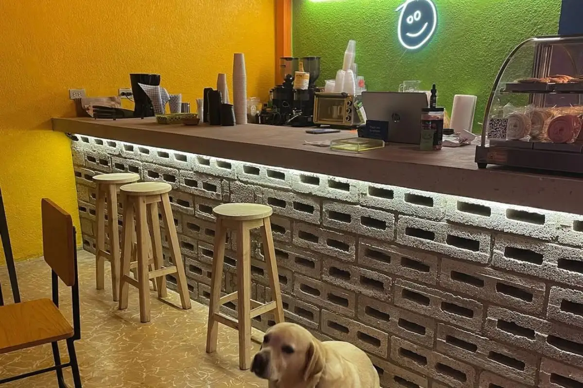 ¿Dónde celebrar el 4:20 en Puebla? Mi Amigo Café prepara una tarde monchosa 1 Mi Amigo Café prepara una tarde monchosa
