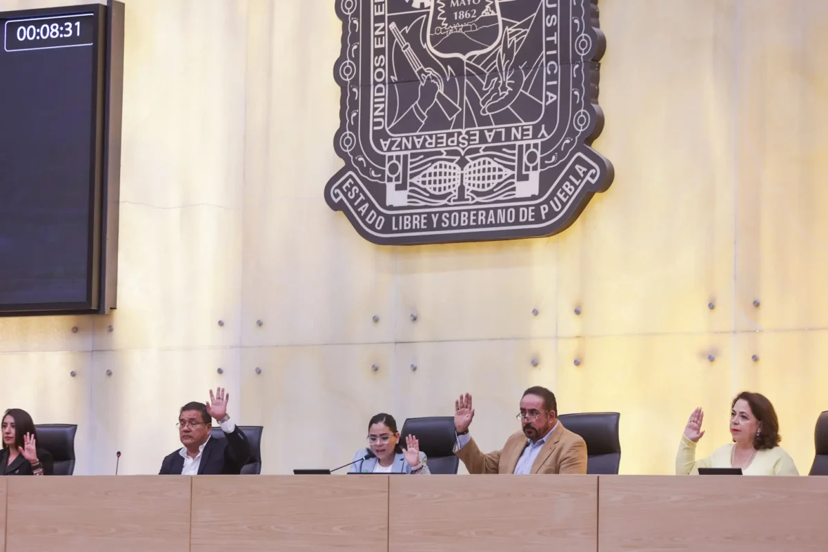 Uso de ONG's falsas podría ser castigado con cárcel