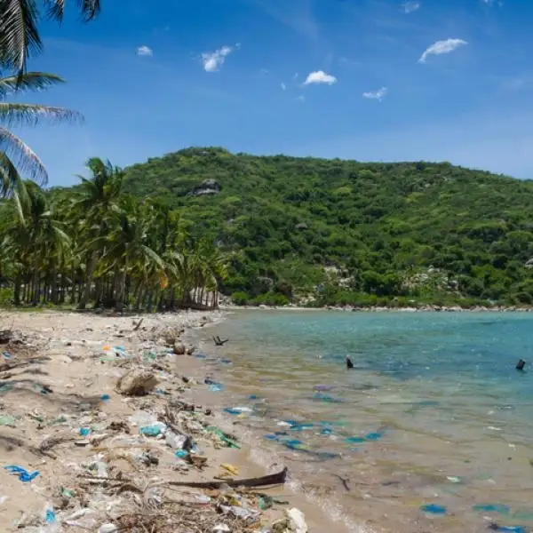 Playas más contaminadas para vacaciones de semana santa 2025