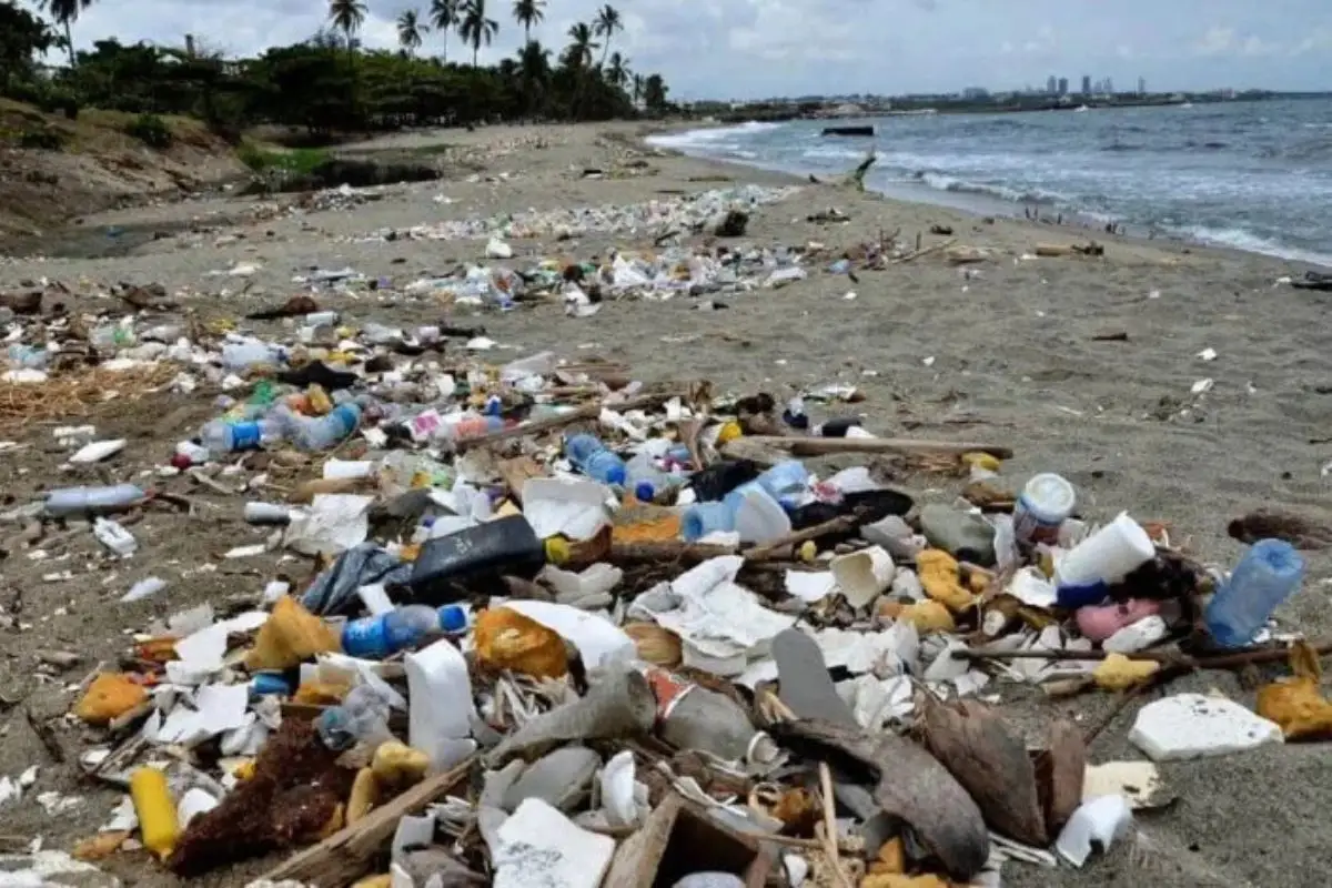 Ten cuidado: estas son las playas más contaminadas de México este 2025 1 Playas más contaminadas para vacaciones de semana santa 2025