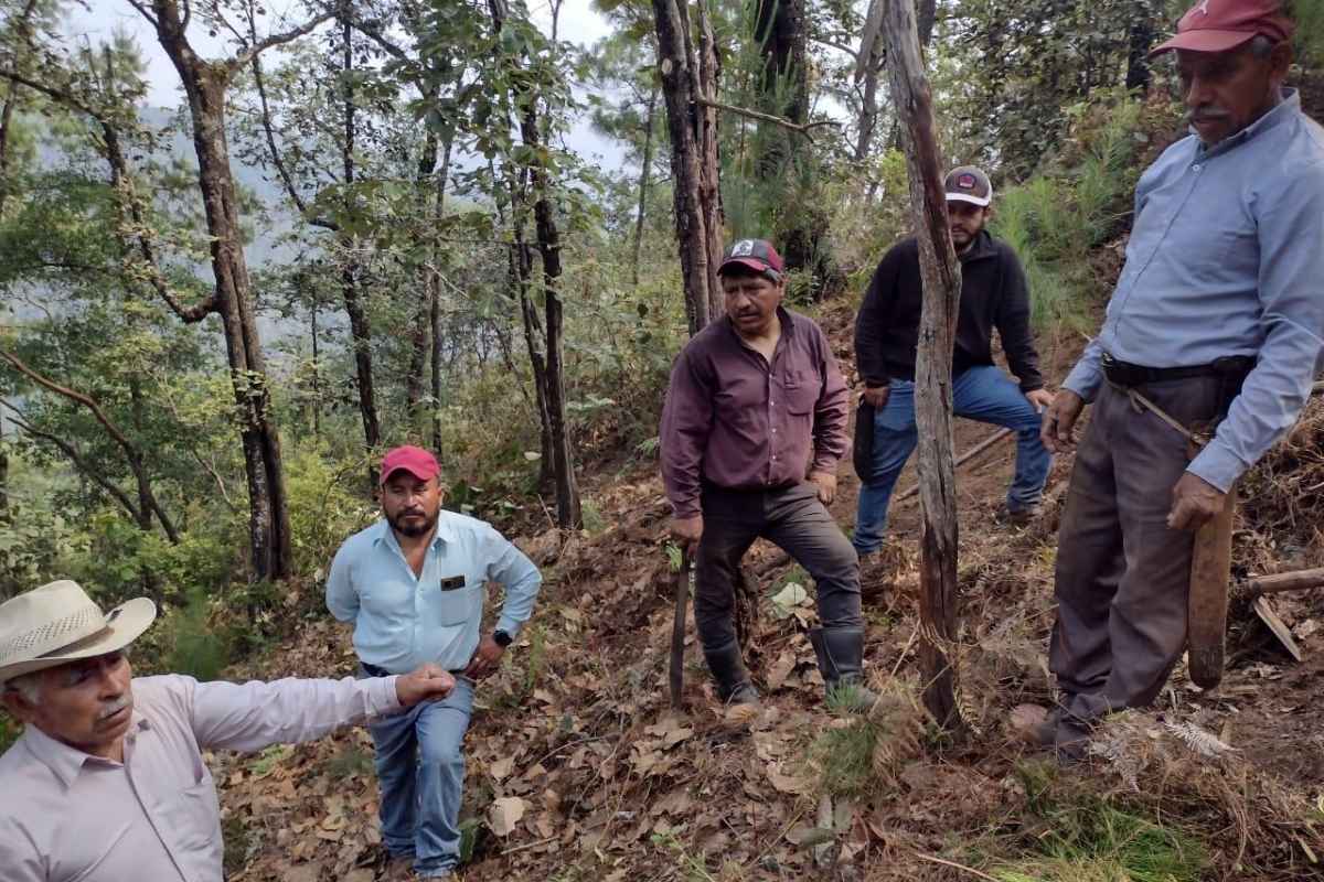 Ayuntamiento de Zacatlán imparte talleres previos al Proyecto de Reforestación Estratégica Integral 1 Ayuntamiento de Zacatlán imparte talleres previos al Proyecto de Reforestación Estratégica Integral