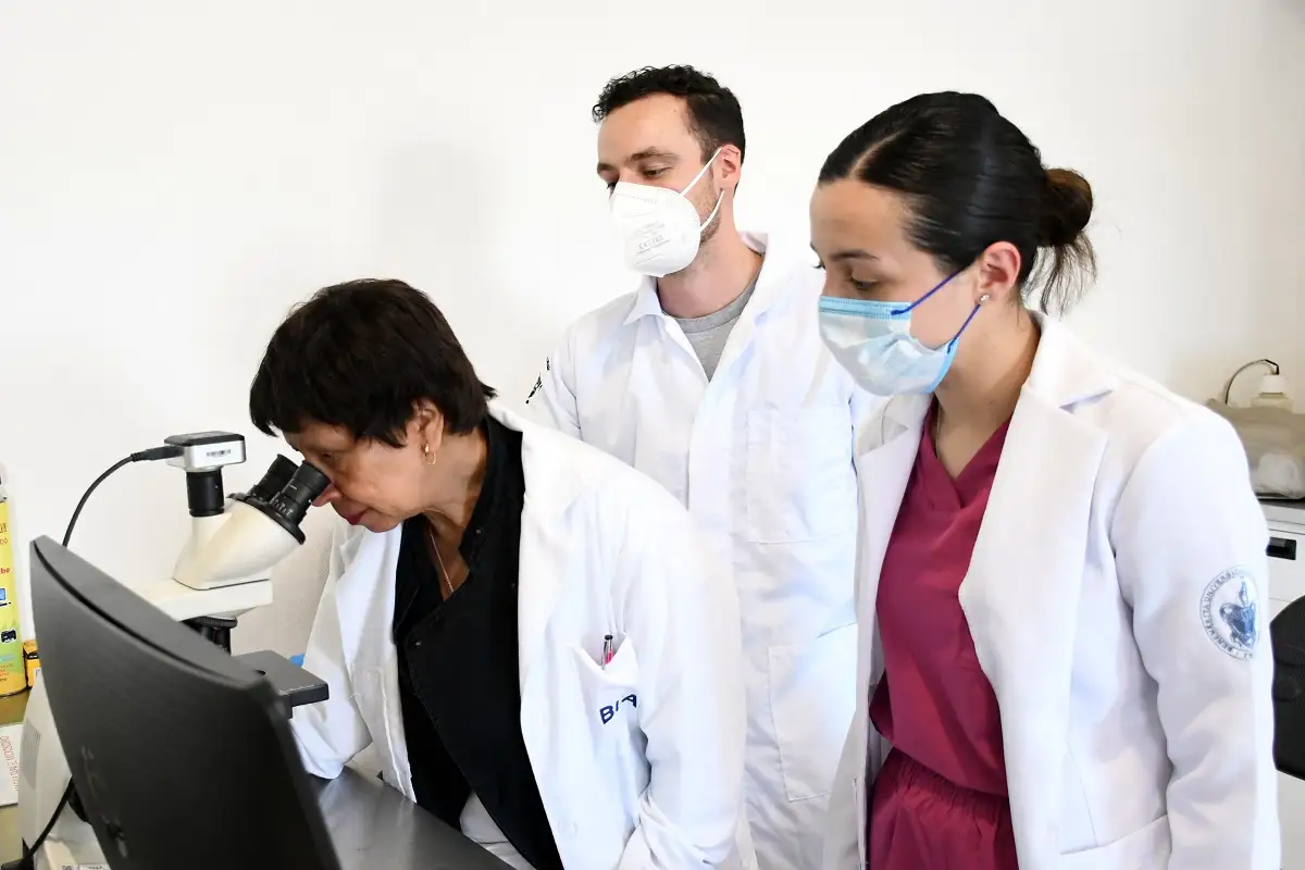 Con modelos computacionales, investigadores BUAP predicen y describen la regeneración epitelial