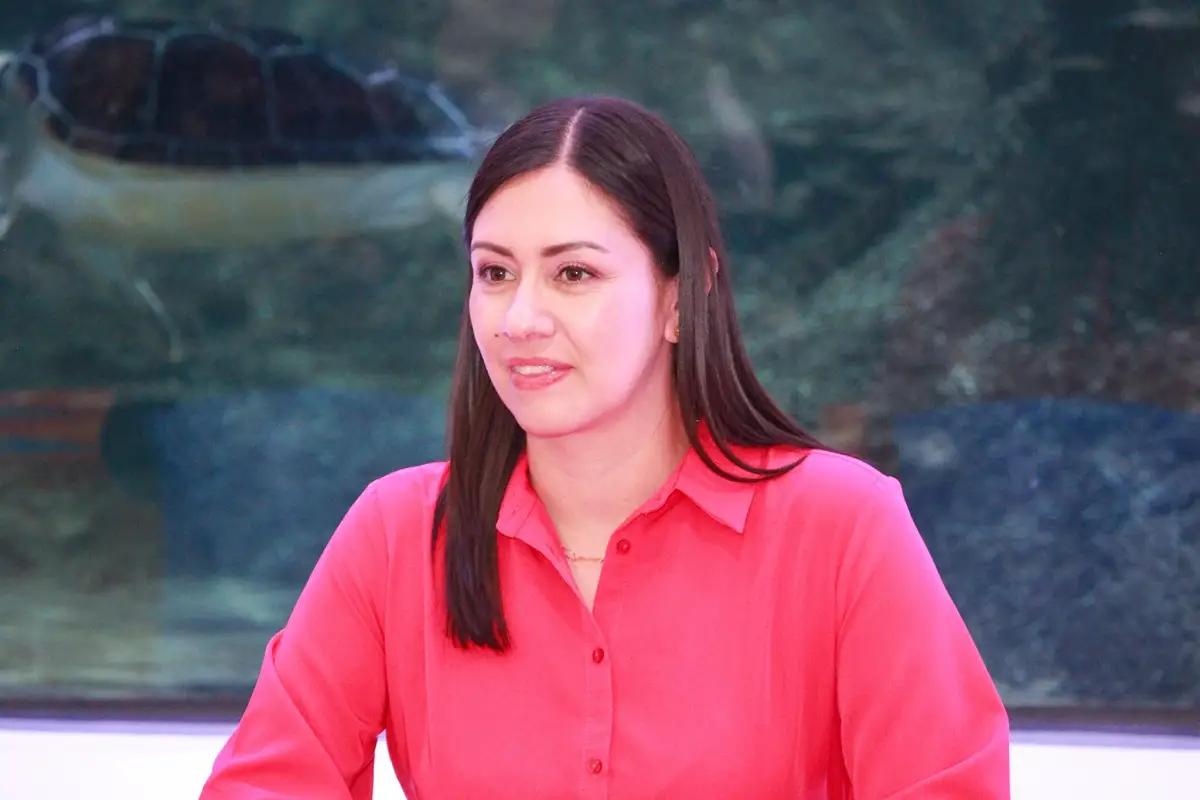 Consejerías electorales IEE Puebla 2025: no hay impedimento para aspirar también al Poder Judicial 2 Consejerías electorales IEE Puebla 2025 no hay impedimento para aspirar también al Poder Judicial