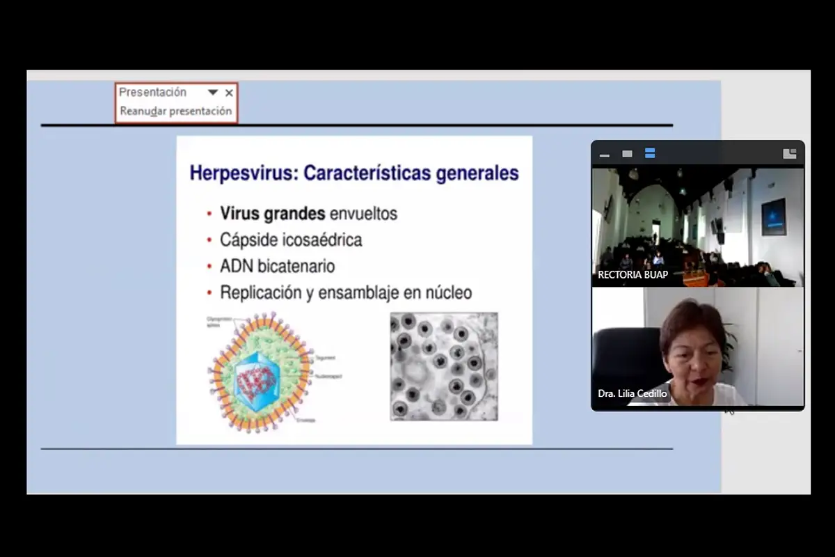Las enfermedades infecciosas, un problema recurrente en el país