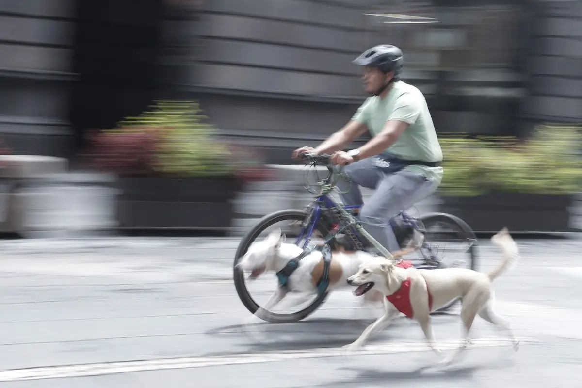 Gobierno de Puebla plantea ampliar la Vía Recreativa Metropolitana todos los domingos