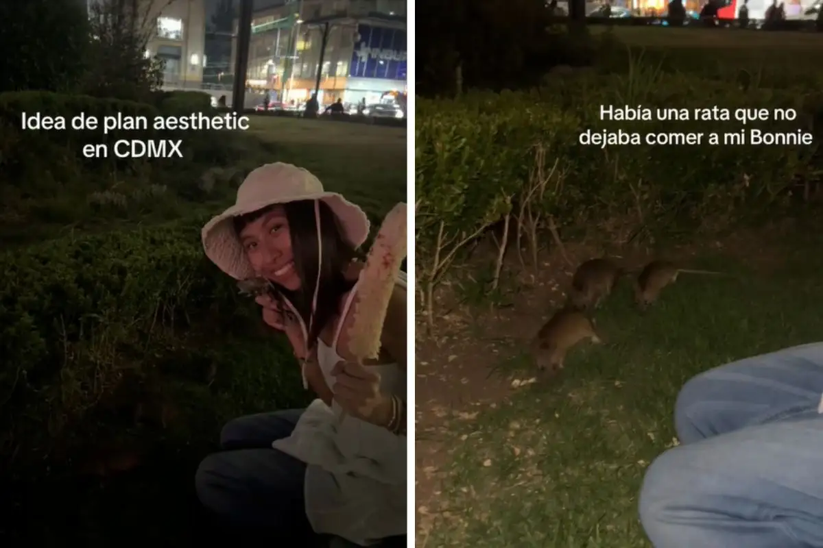 Poblana se viraliza por alimentar a ratas de Bellas Artes en CDMX 1 Poblana se viraliza por alimentar a ratas de Bellas Artes en CDMX