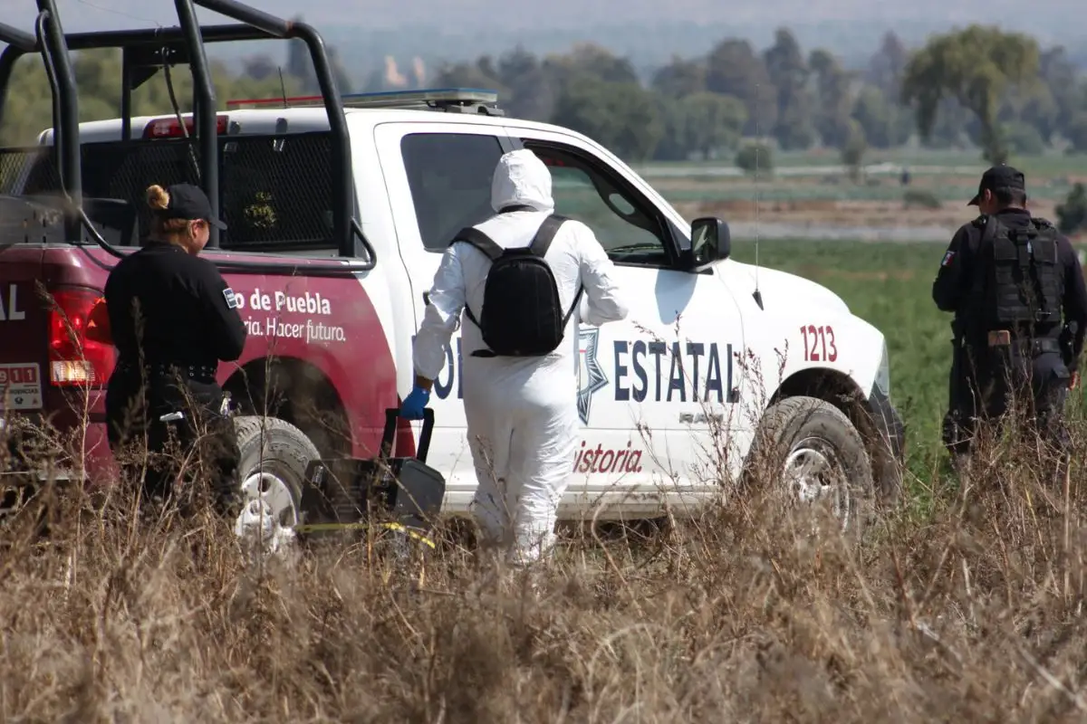 Fosa clandestina de Palmar de Bravo estaba cerca de base militar: llevan solo un cuerpo hallado 1 Fosa clandestina en Palmar de Bravo estaba cerca de base militar