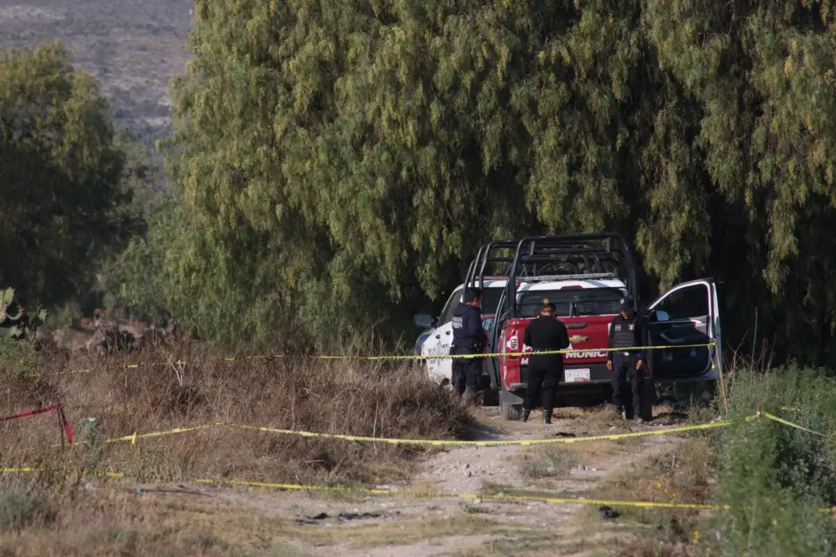 Investigan hallazgo de restos óseos en predio de Palmar de Bravo 1 Investigan hallazgo de restos óseos en un predio de Palmar de Bravo