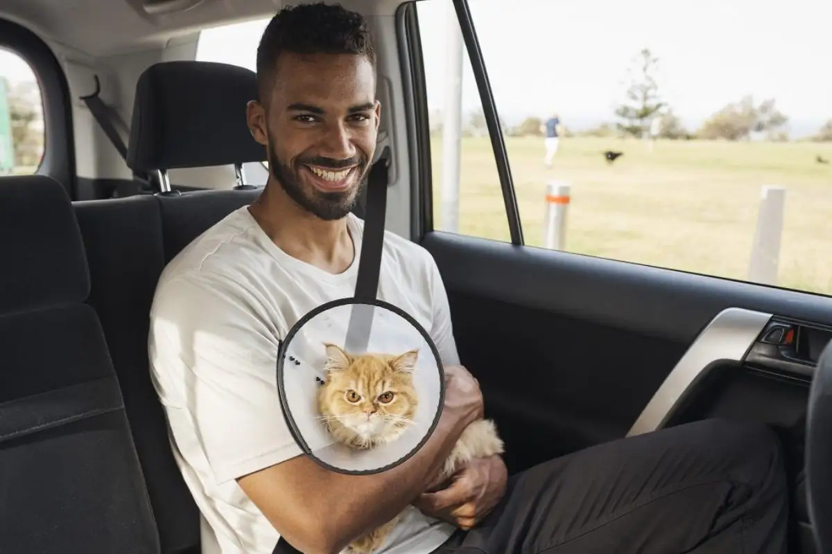 Ya puedes viajar con tu mascota en Puebla: así funciona Uber Pet 1 Así funciona Uber Pet en Puebla