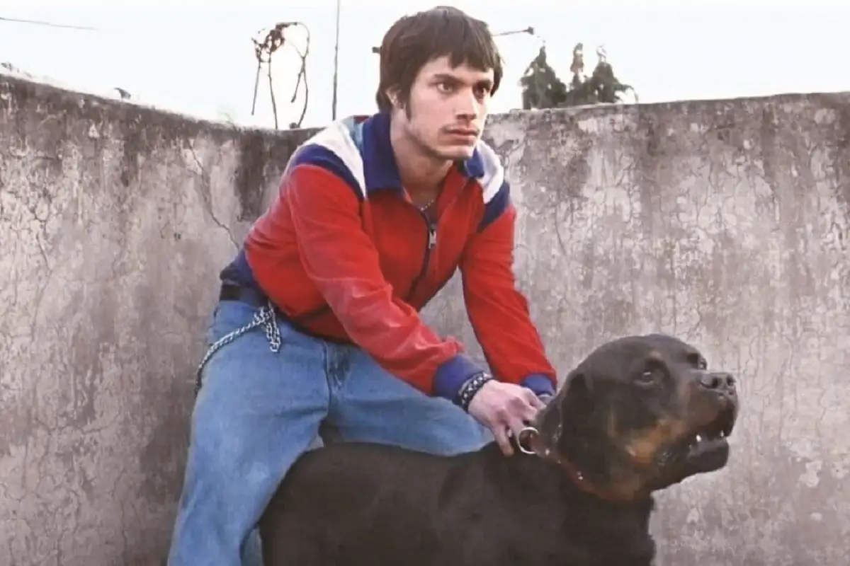 Amores Perros regresa al 4k será proyectada en la Cineteca Nacional Fecha y hora