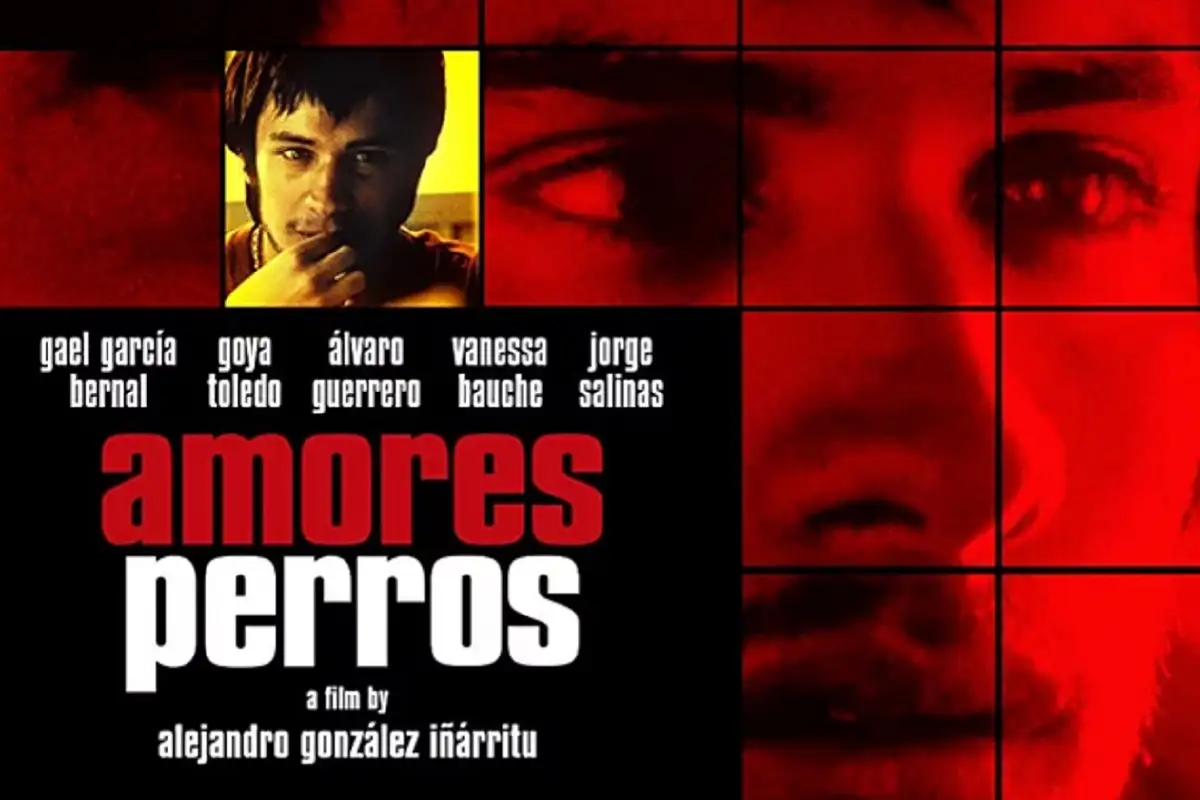 Amores Perros regresa al 4k será proyectada en la Cineteca Nacional: Fecha y hora 1 Amores Perros regresa al 4k será proyectada en la Cineteca Nacional Fecha y hora