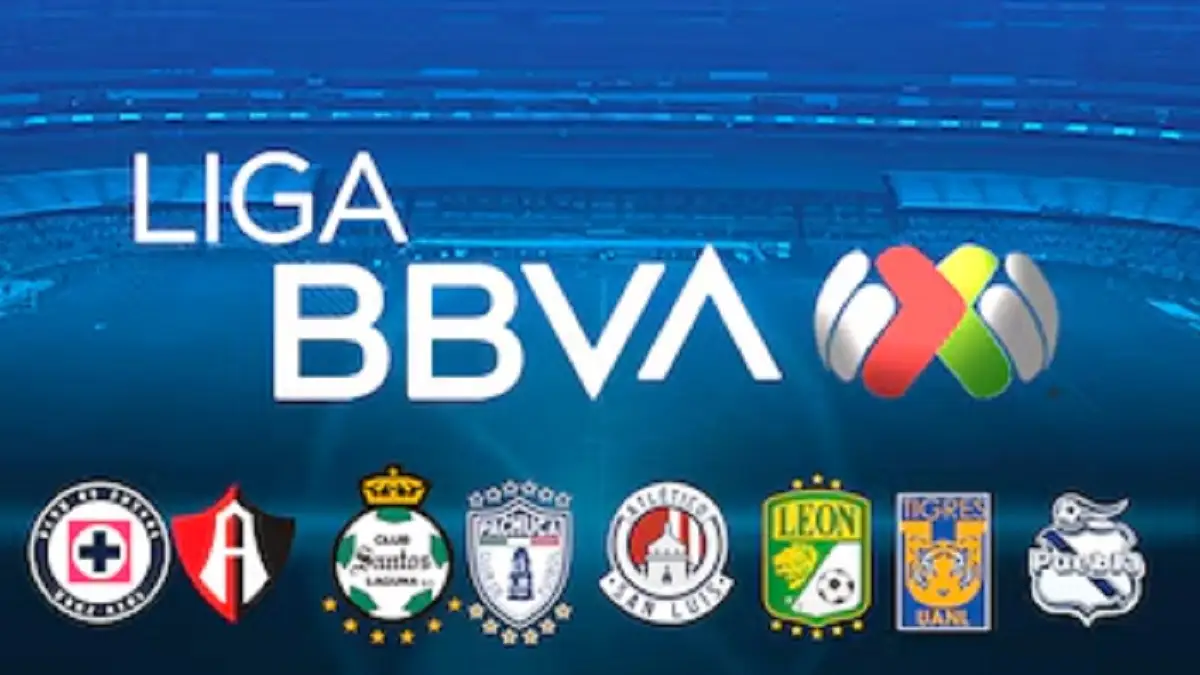 Ascenso y descenso de la Liga MX podría ser discutido en el Senado de la República