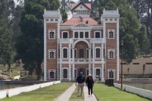 Avistamiento de luciérnagas en Chautla fechas, precios y cómo reservar tu tour nocturno