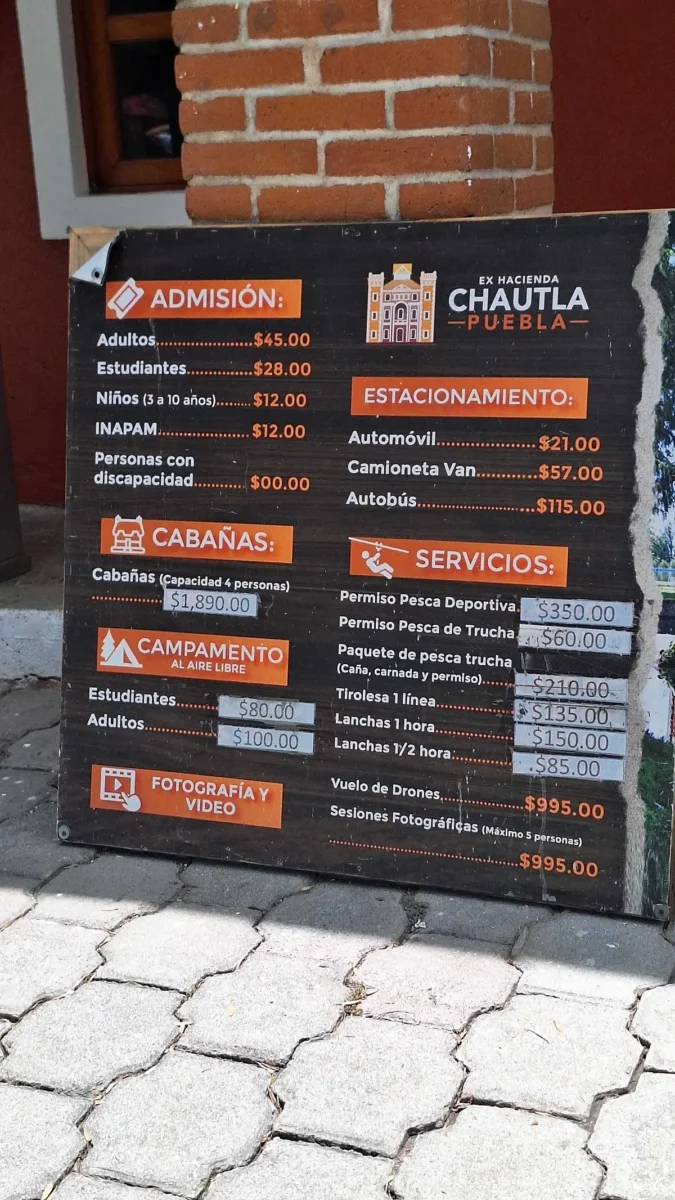 Avistamiento de luciérnagas en Chautla fechas, precios y cómo reservar tu tour nocturno