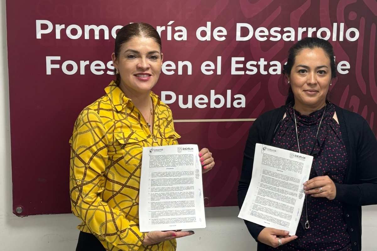 Ayuntamiento de Zacatlán y CONAFOR combatirán plagas forestales 1 Ayuntamiento de Zacatlán y CONAFOR combatirán plagas forestales