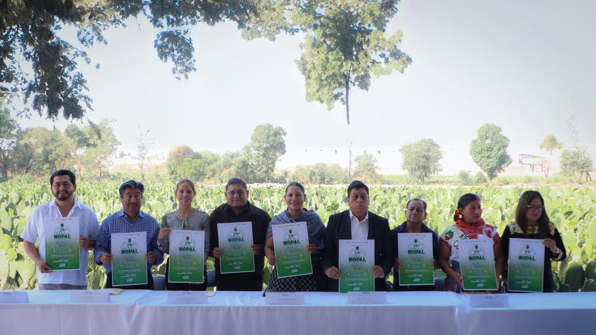 Imagen de WhatsApp 2025 05 27 a las 23.28.34 2f4b74d8