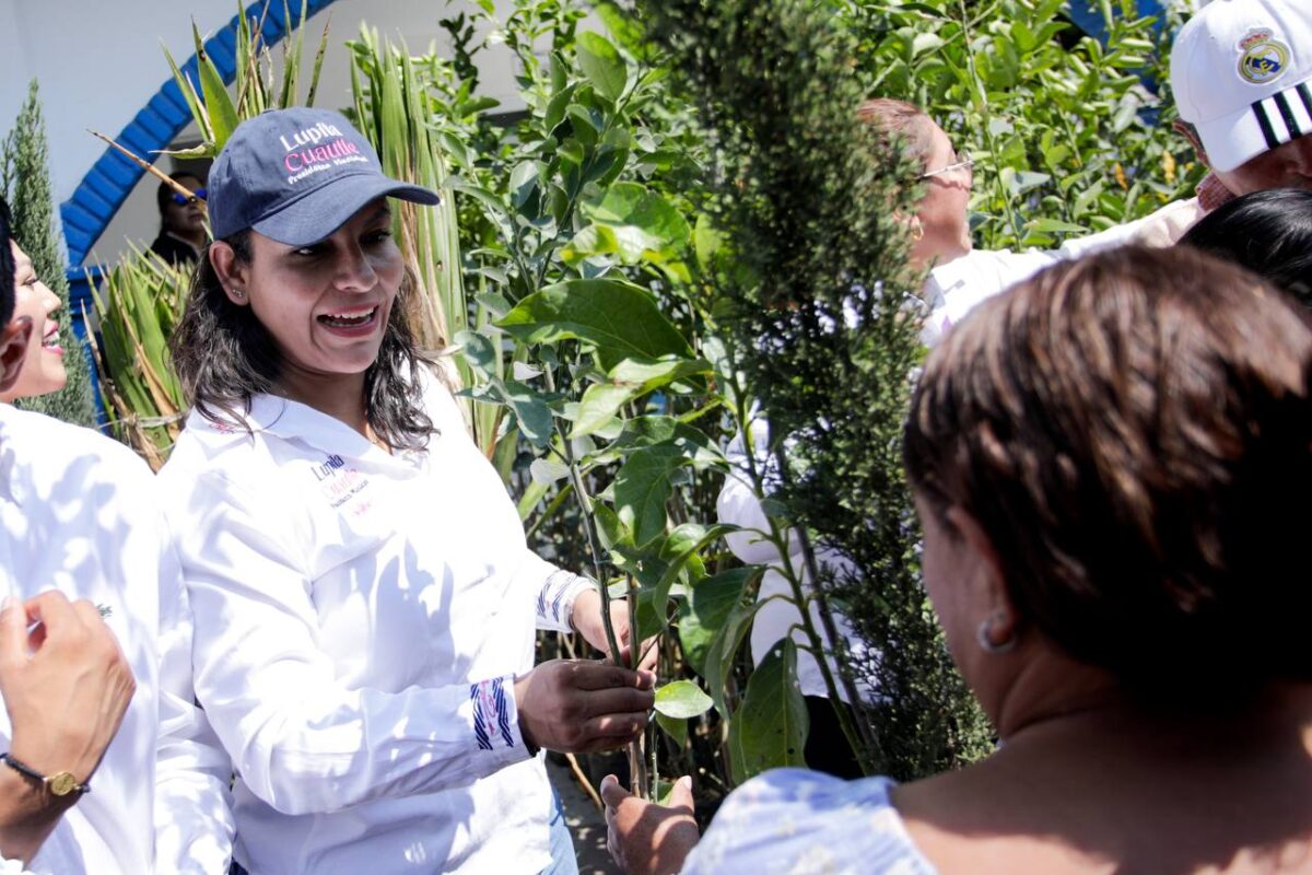 Imagen de WhatsApp 2025 05 27 a las 23.30.16 3540362f