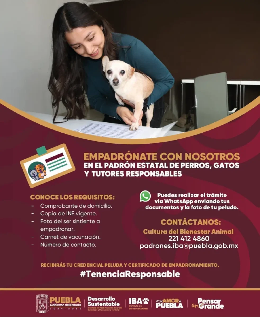 Padrón Estatal de Perros y Gatos en Puebla es gratuito y sin CURP: te decimos cómo hacerlo