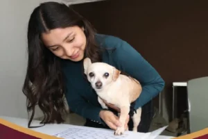 Padrón Estatal de Perros y Gatos en Puebla es gratuito y sin CURP te decimos cómo hacerlo