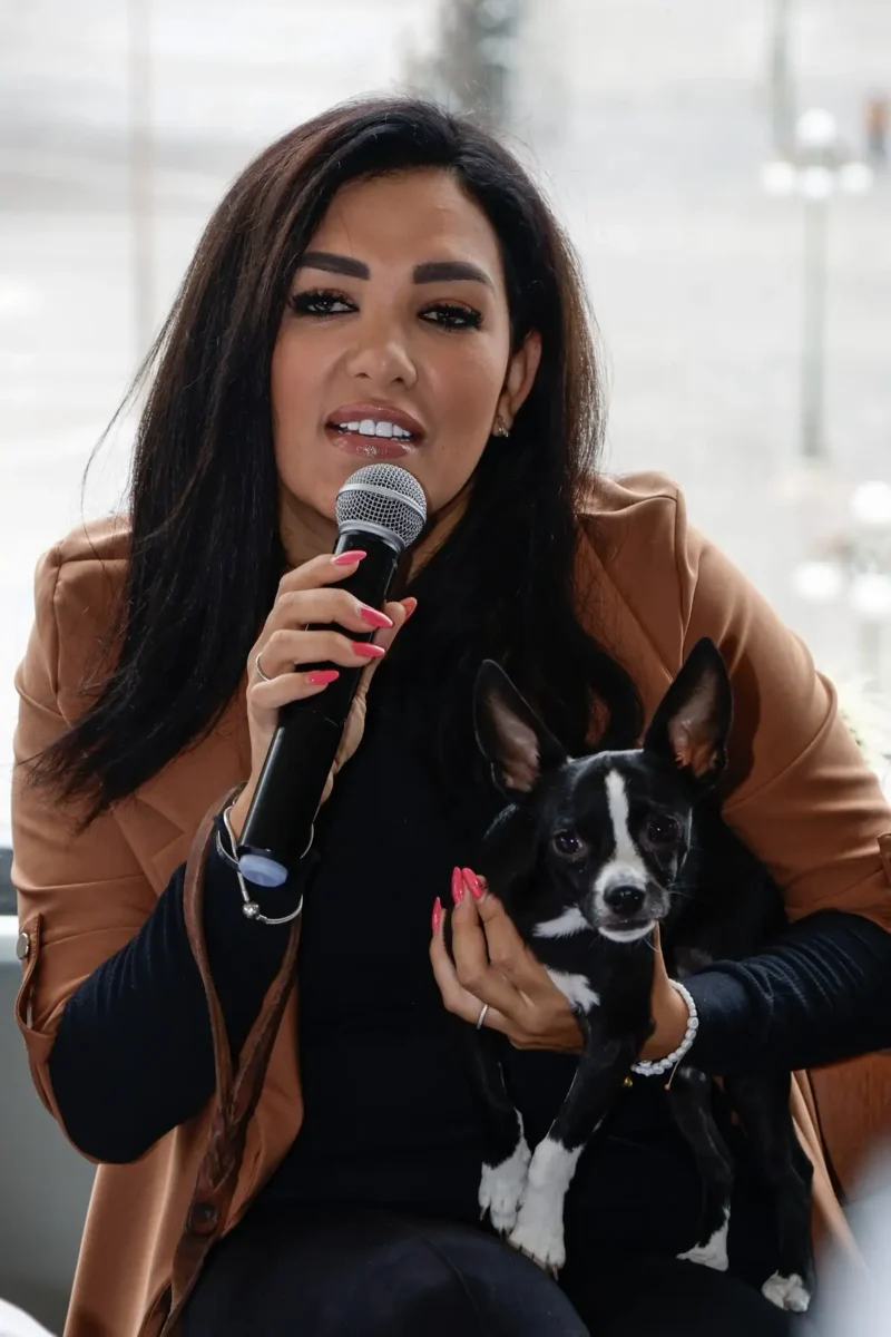 Solo han judicializado dos casos de maltrato animal en Puebla de más de mil 800 reportes