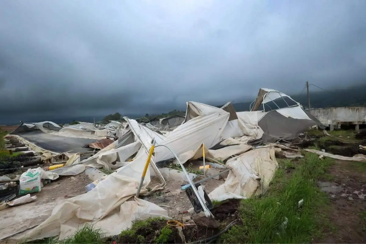 FOTOS|VIDEO: Tornado azota Chignahuapan y destroza viveros 3 Tornado en Chignahuapan destroza viveros