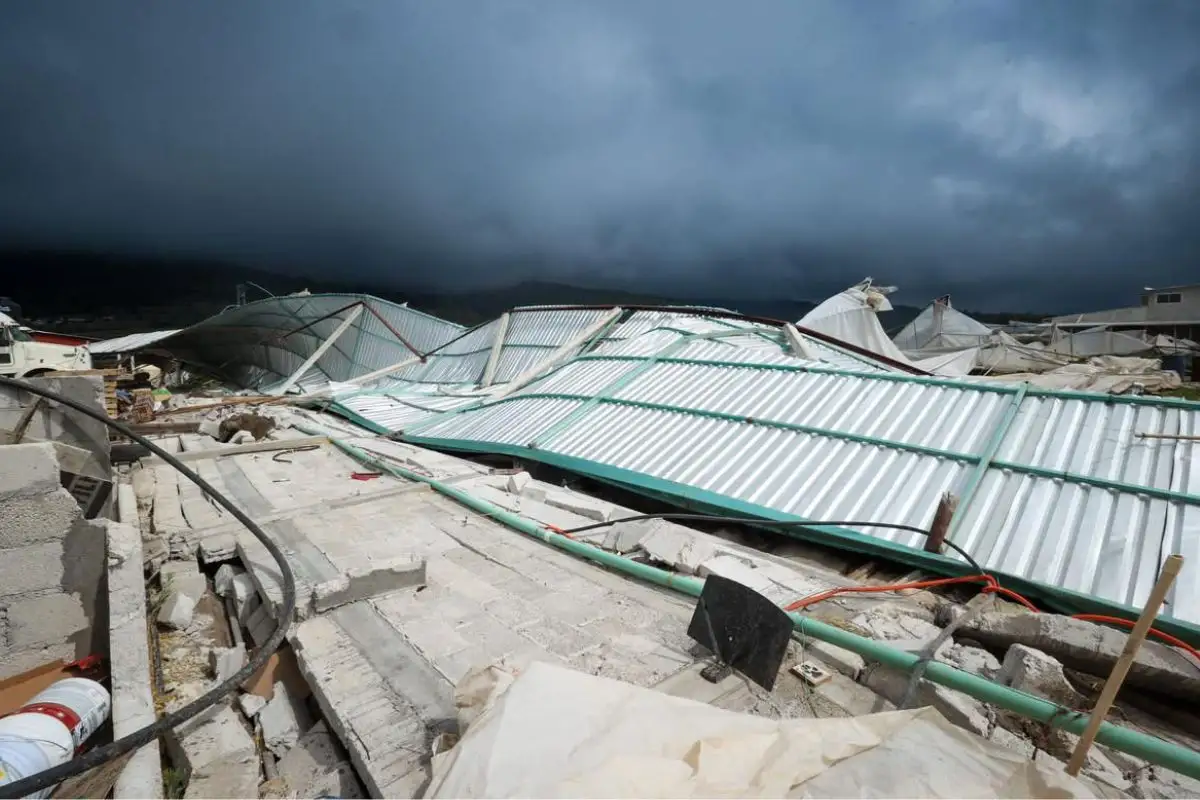 FOTOS|VIDEO: Tornado azota Chignahuapan y destroza viveros 2 Tornado en Chignahuapan destroza viveros