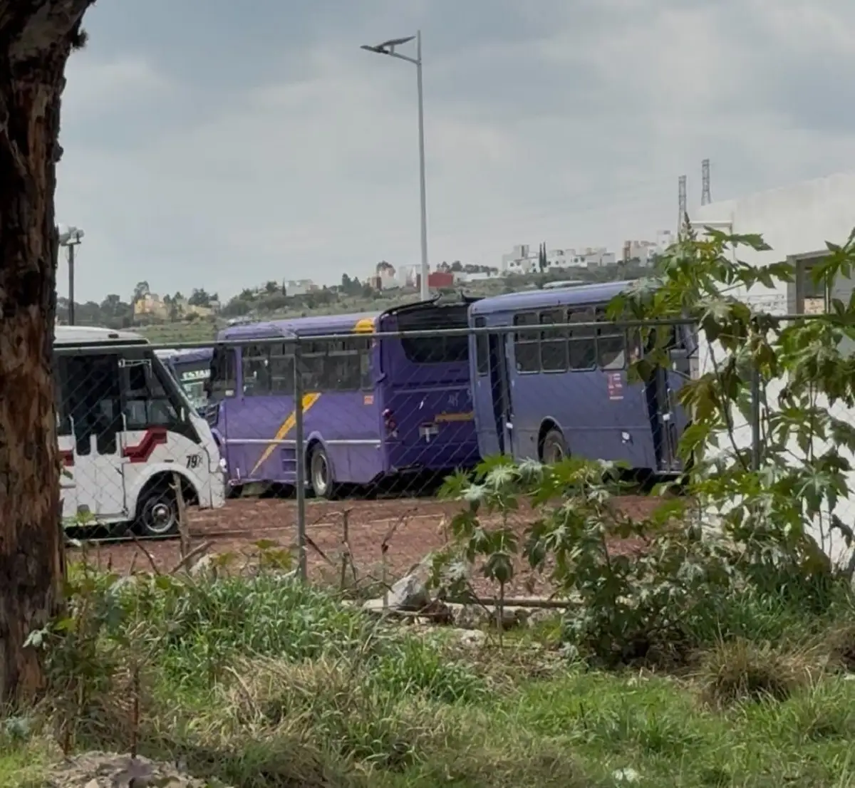 Unidades de la ruta Morados de Puebla están en el corralón estatal